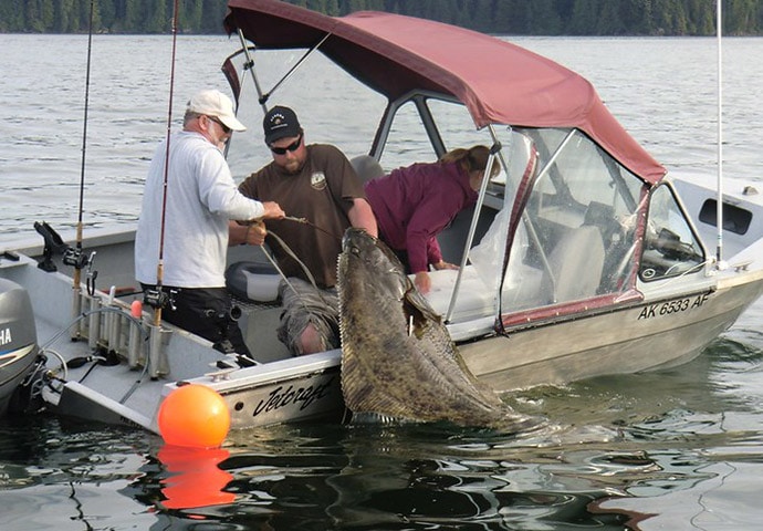 Rates – Alaska's Fly-in Fishing Lodge